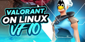 Valorant Linux